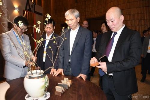 Hawa Expo 2025: Cơ hội 'vàng' để gia tăng xuất khẩu gỗ