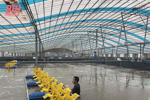 Xây dựng các mô hình nông nghiệp thông minh, thích ứng với biến đổi khí hậu