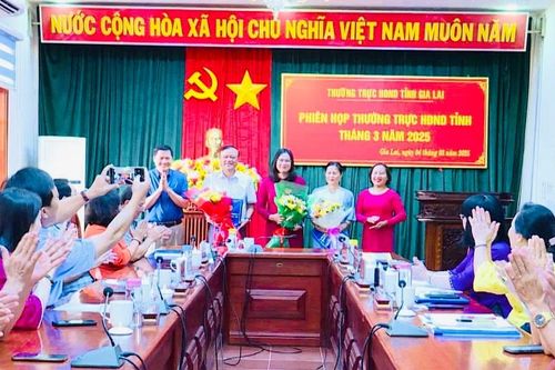 Thường trực HĐND tỉnh Gia Lai công bố các nghị quyết về công tác cán bộ