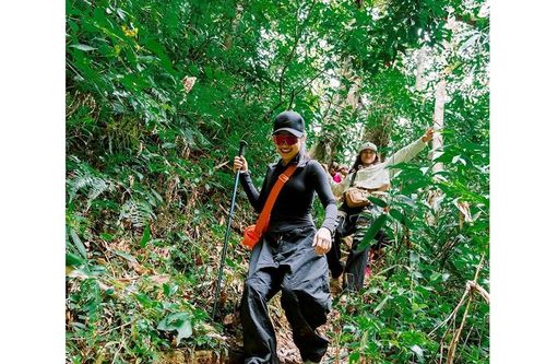 Mùa du lịch rừng