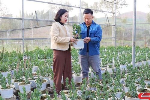Hiệu quả các mô hình khuyến nông