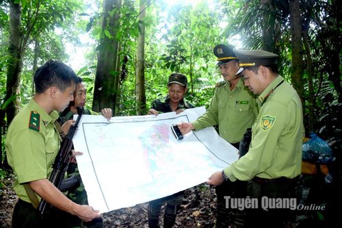 Về Mu Măn nghe chuyện giữ rừng