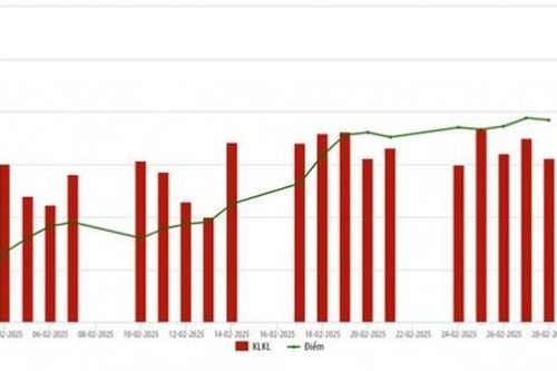 Thị trường cổ phiếu niêm yết trên HNX tháng 02/2025: Giá trị giao dịch bình quân tăng 40%