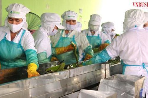 Nỗi lo 'đẻ' thêm thủ tục mới sẽ làm khó doanh nghiệp