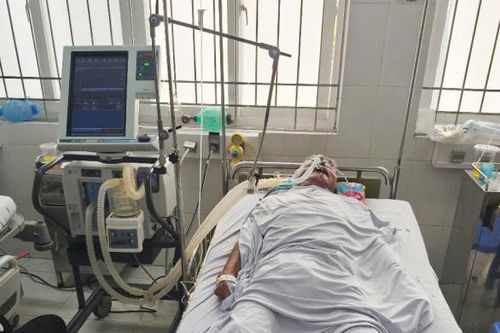 Ăn cá nóc, 4 người ở Cà Mau bị ngộ độc