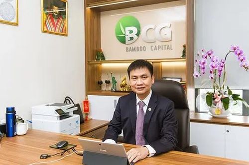 Cổ phiếu BCG của ông Nguyễn Hồ Nam bị bán giải chấp