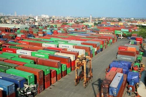 Viconship đính chính Báo cáo tài chính quý IV/2024, lợi nhuận 'bốc hơi' gần 127 tỷ đồng