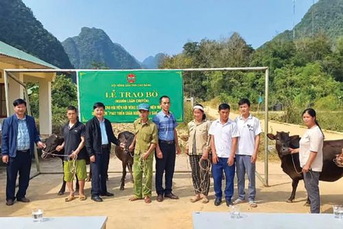 'Đòn bẩy' giúp nông dân phát triển kinh tế