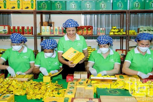 Thái Nguyên: Nâng cao giá trị sản xuất công nghiệp, tiểu thủ công nghiệp