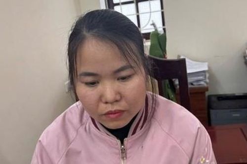 Bắt 'nữ quái' mang gần 50 xe ôtô thuê đi bán, cầm cố
