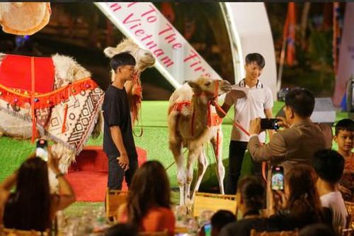 Bình Thuận: Đẩy mạnh du lịch xanh gắn kết thiên nhiên, văn hóa bản địa