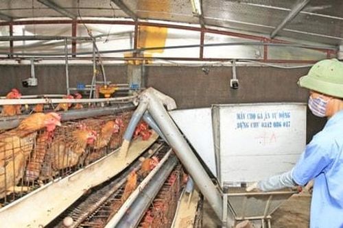 Sản xuất bền vững, kinh doanh có trách nhiệm
