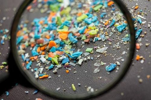 Khó ngờ với con đường vi nhựa xâm nhập vào cơ thể