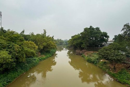 Tìm giải pháp cứu các dòng sông 'chết'