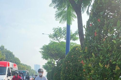 TP Hồ Chí Minh rà soát các đối tượng chăn dắt ăn xin
