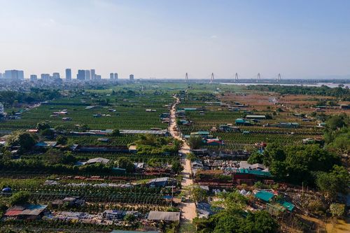 Tập đoàn bầu Hiển và công ty Qatar đề xuất dự án 4,5 tỷ USD ở Đông Anh
