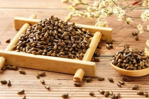 Loại thảo mộc dễ tìm, giúp mát gan, sáng mắt