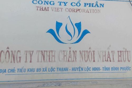 Trại heo đã ghi nhận thiệt hại của người dân sau khi báo chí phản ánh