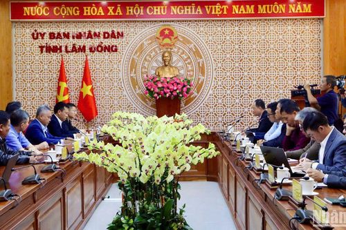 Lâm Đồng làm việc với đối tác Trung Quốc về khôi phục tuyến đường sắt Đà Lạt-Tháp Chàm