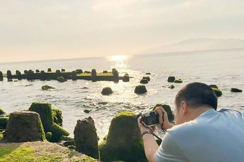 Tận thấy thảm rêu xanh mướt có 'một không hai' ở Nha Trang