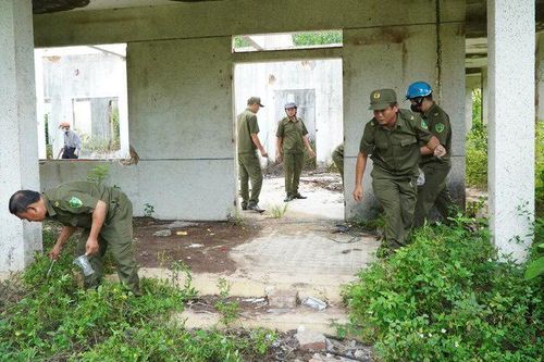 Chờ làm công viên, núi Thiên Bút đang trở thành tụ điểm chích ma túy