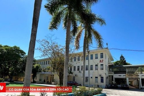 Vì sao Công ty TNHH MTV Bạch Đằng bị cấm thầu ở Thanh Hóa?