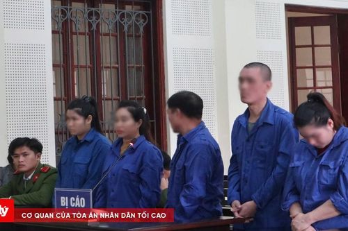 Từ con nghiện thành tội phạm, cặp đôi nhận án nghiêm khắc
