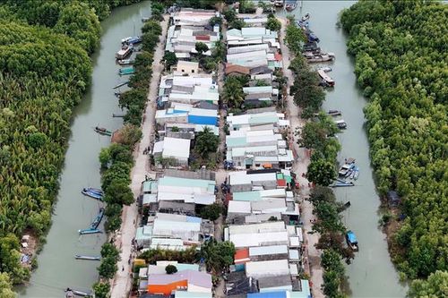 Hồi sinh, phát triển rừng ngập mặn Cần Giờ: Phát triển kinh tế xanh gắn bảo vệ môi trường