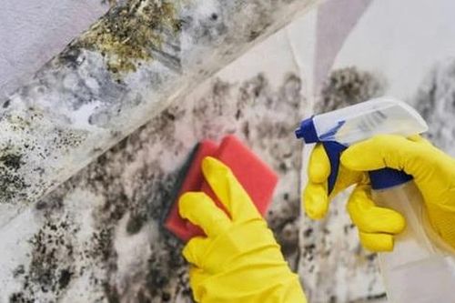 Tin tức Đời sống 5/3: Đề phòng ngộ độc thực phẩm mùa nồm ẩm