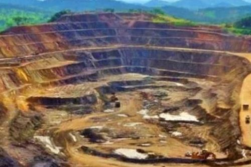 Tìm thấy kho báu nằm sâu dưới 1.000m trong rừng gỗ quý, các chuyên gia vất vả tìm cách đào lên