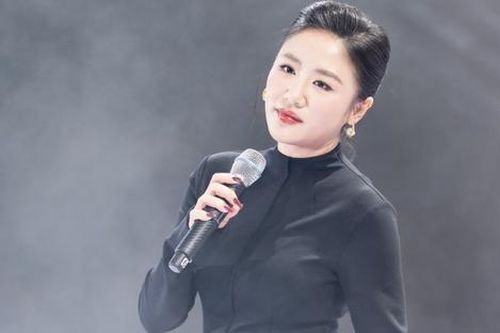 Sự cố trong đêm nhạc của Văn Mai Hương