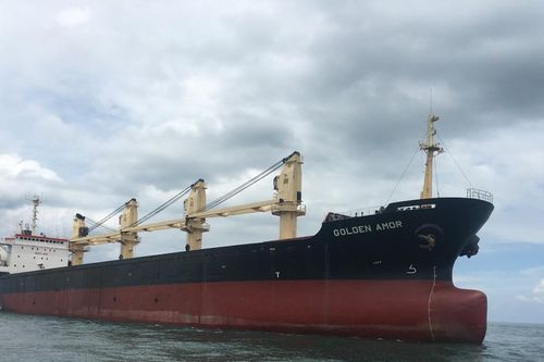 Vận tải biển Global Pacific đặt mục tiêu đi lùi trong năm 2025
