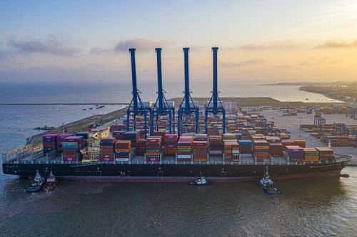 Lợi nhuận Viconship bị 'thổi phồng' trăm tỷ vì nhập sai dữ liệu