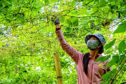 Những người định cư ở 'lưng trời'