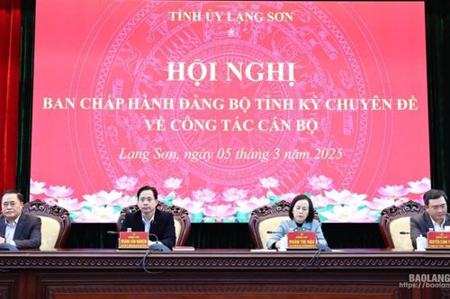 Ban Chấp hành Đảng bộ tỉnh tổ chức hội nghị kỳ chuyên đề về công tác cán bộ