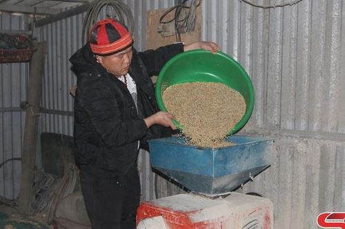 Gương sáng phát triển kinh tế ở vùng cao