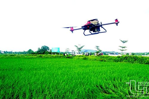 Ứng dụng công nghệ số trong sản xuất an toàn