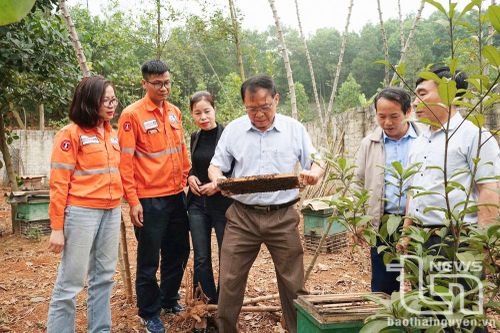 'Dẫn đường' cho người nuôi ong mật