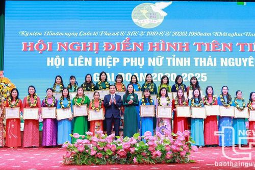Biểu dương 115 điển hình tiên tiến trong các phong trào thi đua