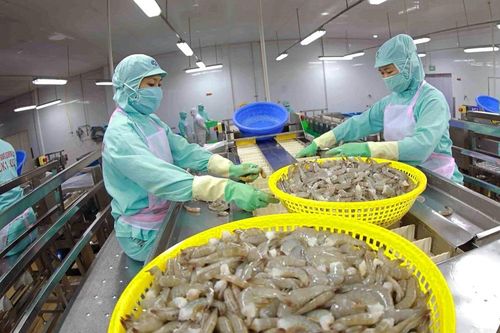 Thực phẩm Sao Ta (FMC): Doanh số tháng 2 tăng 85%, có đơn hàng 'rất lớn' từ Costco