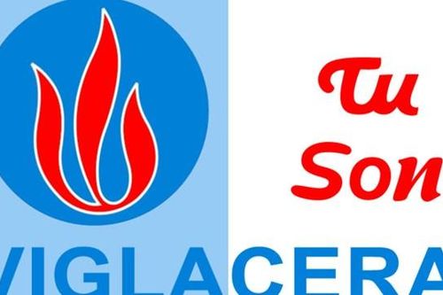 Gạch ngói Từ Sơn (VTS) đối diện năm lỗ thứ 7 liên tiếp, lo ngại về khả năng hoạt động