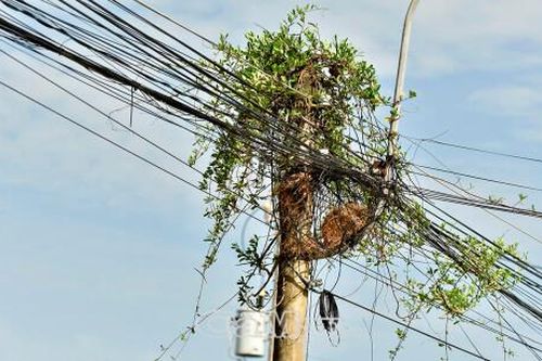 Quyết tâm ngầm hóa tuyến cáp
