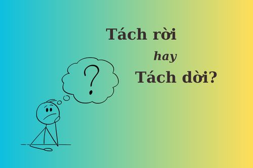 Thử thách Tiếng Việt: 'Tách rời' hay 'tách dời'?
