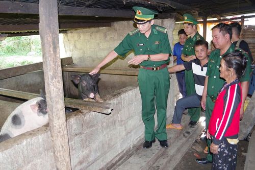 Hỗ trợ phụ nữ vùng biên phát triển kinh tế