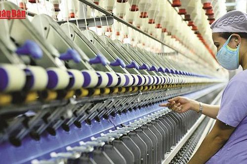 Doanh nghiệp dệt may chủ động ứng phó trước rủi ro thương mại