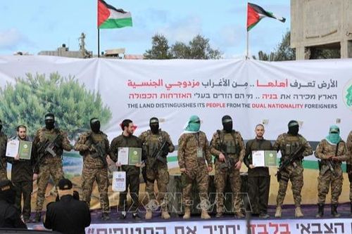 Hamas phản ứng trước 'tối hậu thư' của Tổng thống Trump