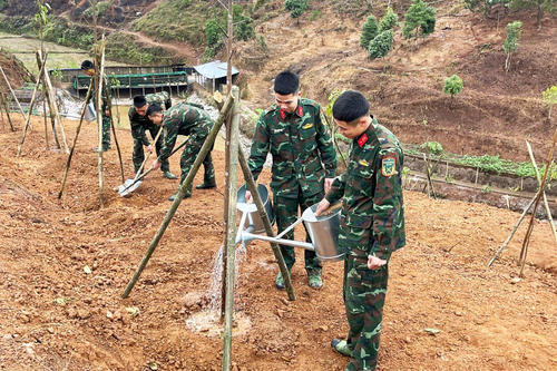 Nỗ lực phủ xanh doanh trại
