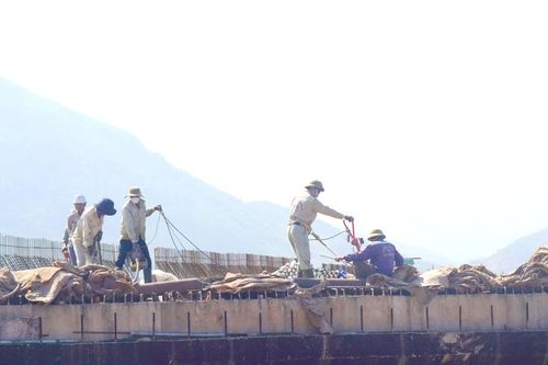 Rầm rộ những công trình trọng điểm - Bài 4: Đường cao tốc Bắc - Nam liền một dải