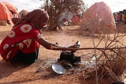 Báo động tình trạng mất an ninh lương thực cấp tính ở Somalia