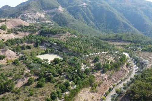 Khánh Hòa kiến nghị tháo gỡ vướng mắc 5 dự án trên núi Chín Khúc